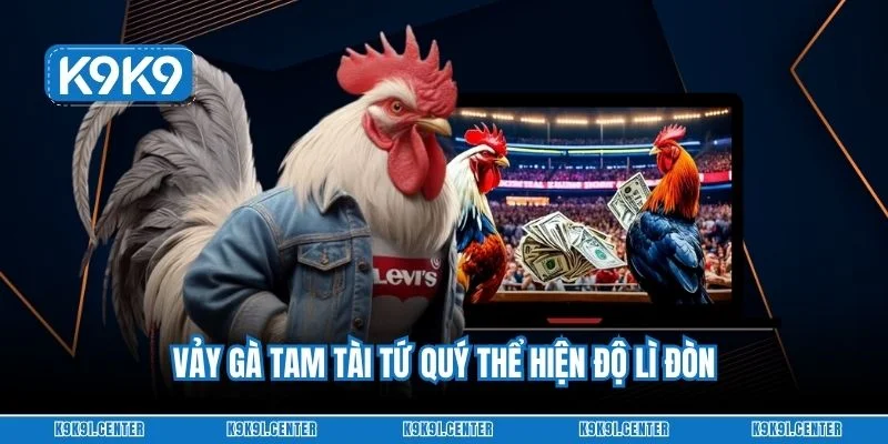 Vảy gà tam tài tứ quý thể hiện độ lì đòn